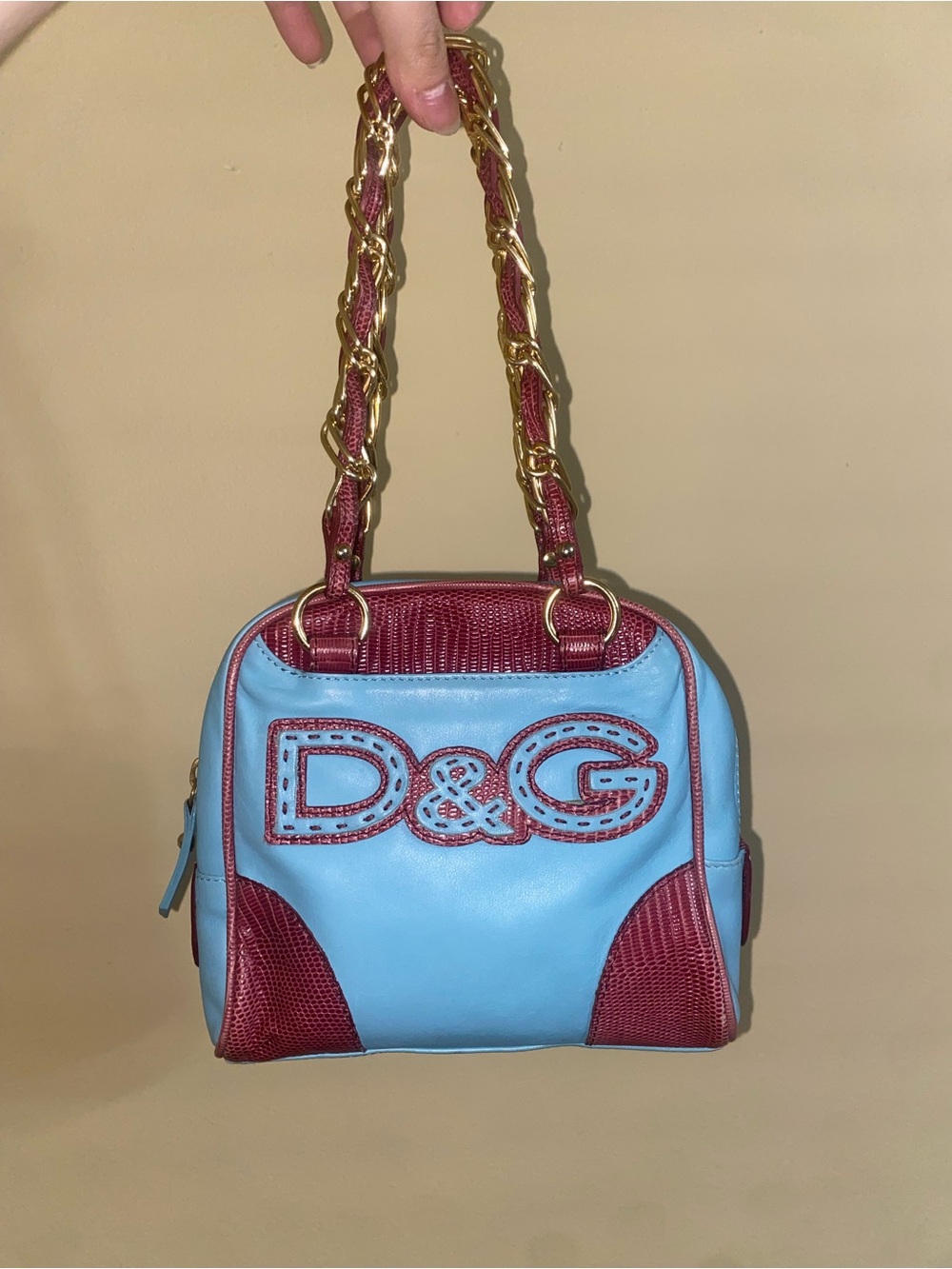 Dolce & Gabbana Turquoise and Maroon Handbag